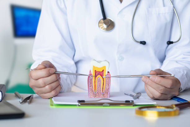 Best Emergency Dental Care for Abscessed Tooth in Chester, VA